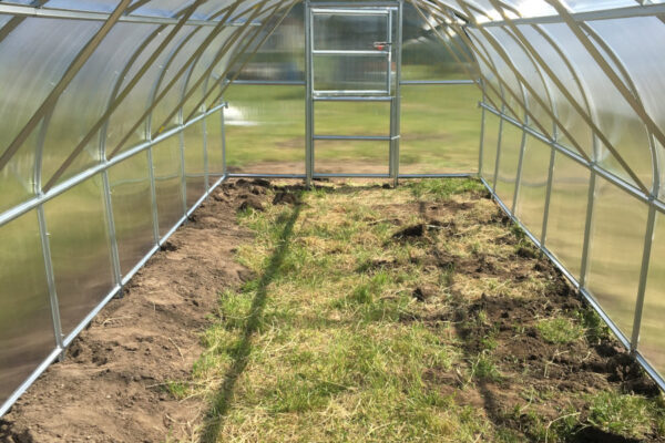 Baltic LT šiltnamis su polikarbonato danga - 4 arba 6 mm