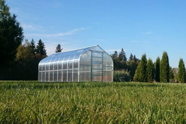 Klasika standart šiltnamis su polikarbonato danga - lašo formos