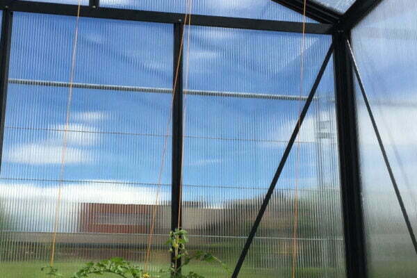 Augalų parišimo vamzdeliai